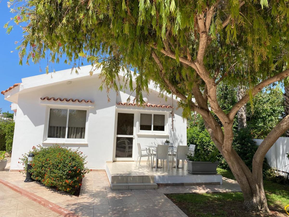 פאראלימני Fig Tree Z Holiday Resort מראה חיצוני תמונה